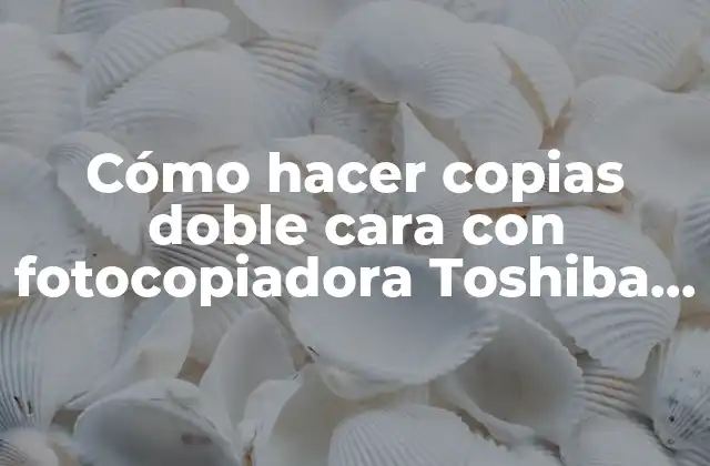 Cómo Hacer Copias Doble Cara con Fotocopiadora Toshiba E-255