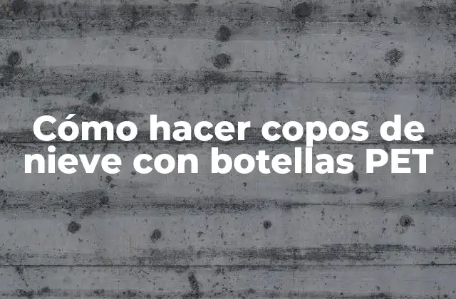 Cómo Hacer Copos de Nieve con Botellas Pet