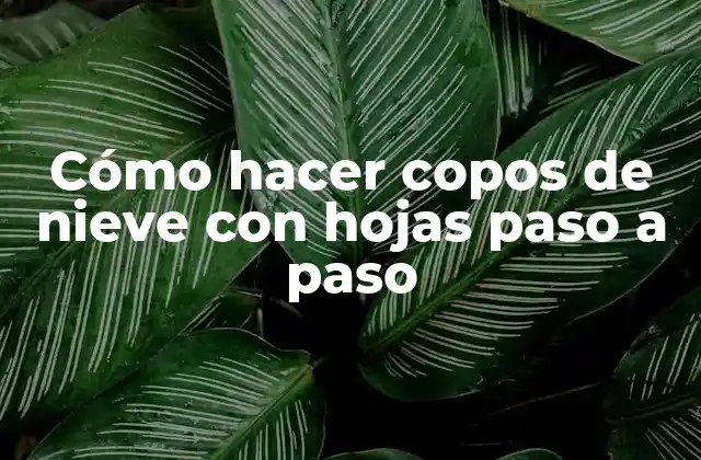 Cómo Hacer Copos de Nieve con Hojas Paso a Paso