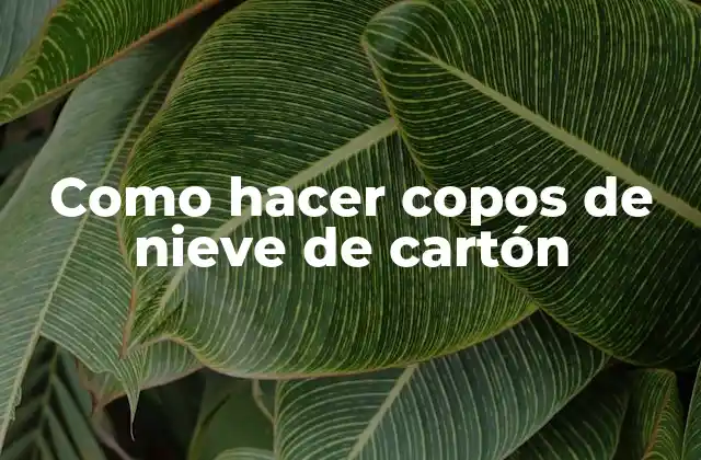 Como Hacer Copos de Nieve de Cartón
