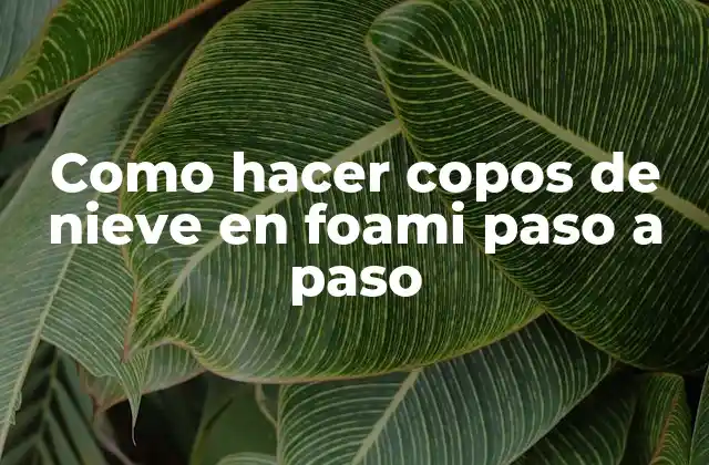 Como Hacer Copos de Nieve en Foami Paso a Paso