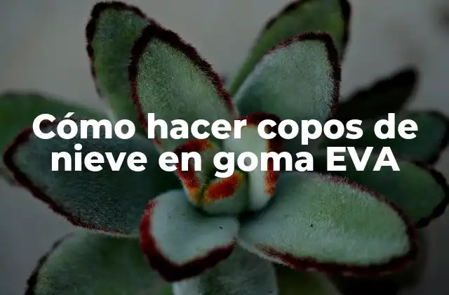 Cómo Hacer Copos de Nieve en Goma Eva