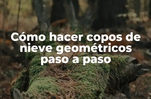 Cómo Hacer Copos de Nieve Geométricos Paso a Paso