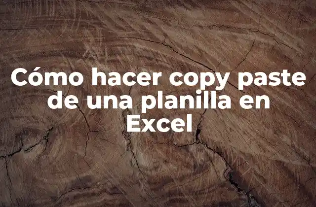 Cómo Hacer Copy Paste de una Planilla en Excel