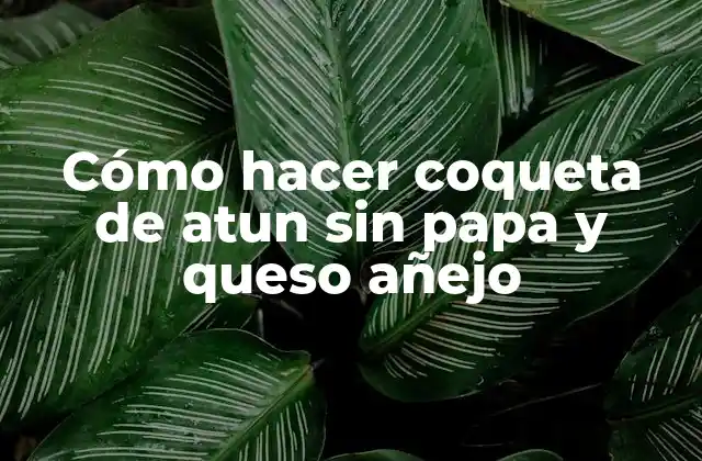 Cómo Hacer Coqueta de Atun sin Papa y Queso Añejo
