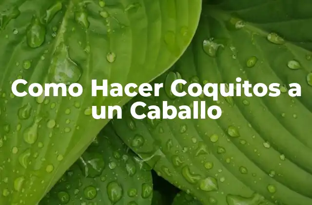 Como Hacer Coquitos a un Caballo