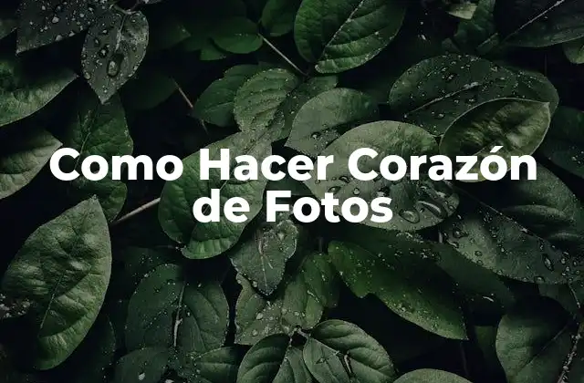 ¿Qué es un Corazón de Fotos?