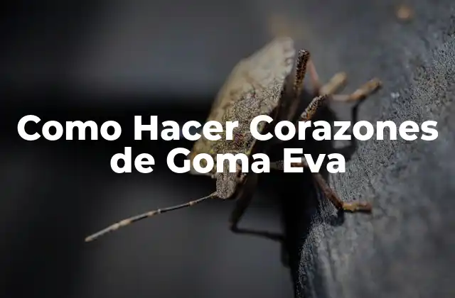 Como Hacer Corazones de Goma Eva 2 ¿Qué son los Corazones de Goma Eva?