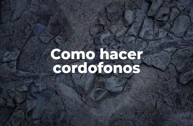 Como Hacer Cordofonos