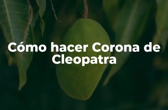 Cómo Hacer Corona de Cleopatra 2 ¿Qué es una Corona de Cleopatra y para qué sirve?