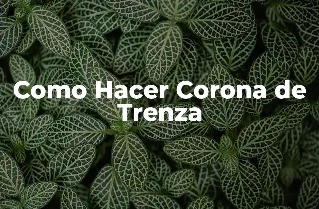 Como Hacer Corona de Trenza
