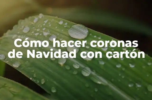 Cómo Hacer Coronas de Navidad con Cartón