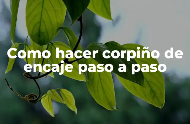 Como Hacer Corpiño de Encaje Paso a Paso