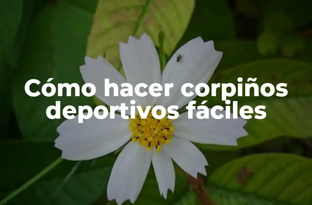 Cómo hacer corpiños deportivos fáciles