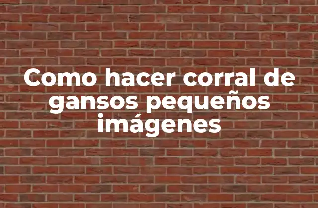 Como Hacer Corral de Gansos Pequeños Imágenes