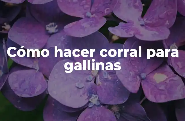 Cómo Hacer Corral para Gallinas
