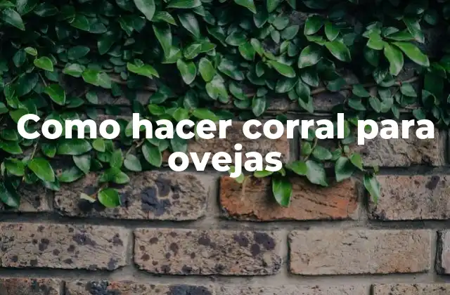 Como Hacer Corral para Ovejas