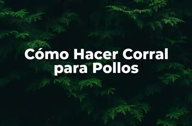 ¿Qué es un Corral para Pollos?