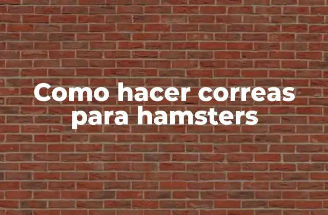 Como Hacer Correas para Hamsters 2 ¿Qué son las correas para hamsters?