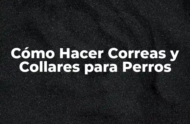 Cómo Hacer Correas y Collares para Perros