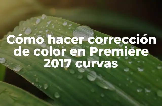 Cómo Hacer Corrección de Color en Premiere 2017 Curvas