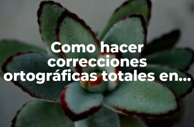 Como Hacer Correcciones Ortográficas Totales en Word