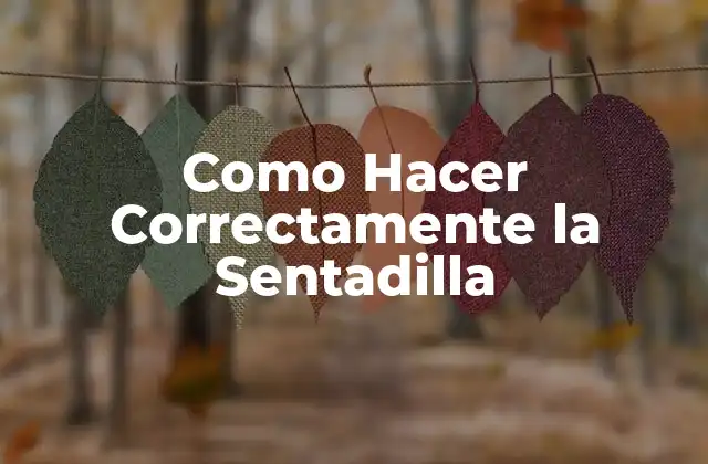 Como Hacer Correctamente la Sentadilla 2 ¿Qué es la Sentadilla y para Qué Sirve?