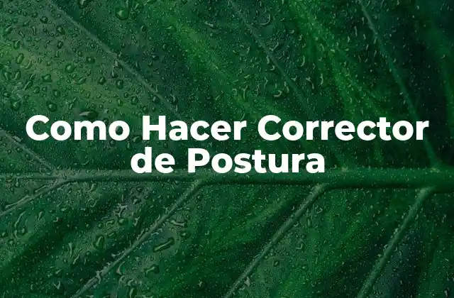 ¿Qué es un Corrector de Postura y para qué Sirve?