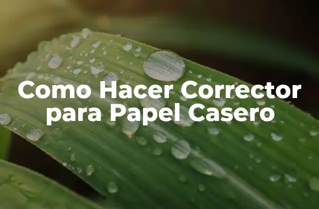 Como Hacer Corrector para Papel Casero