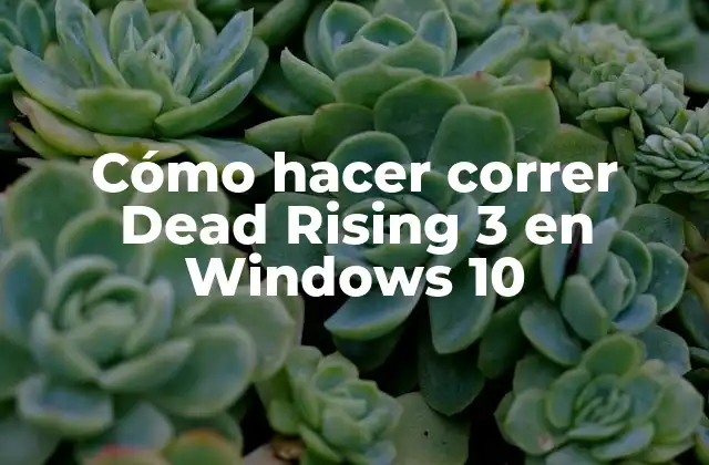 Cómo Hacer Correr Dead Rising 3 en Windows 10