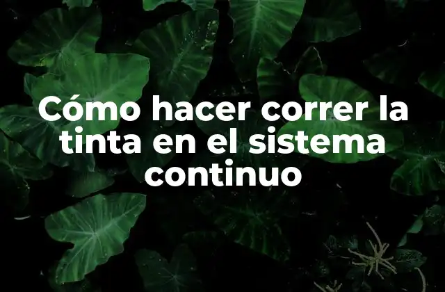 Cómo Hacer Correr la Tinta en el Sistema Continuo