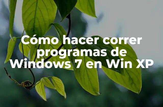 Cómo Hacer Correr Programas de Windows 7 en Win Xp