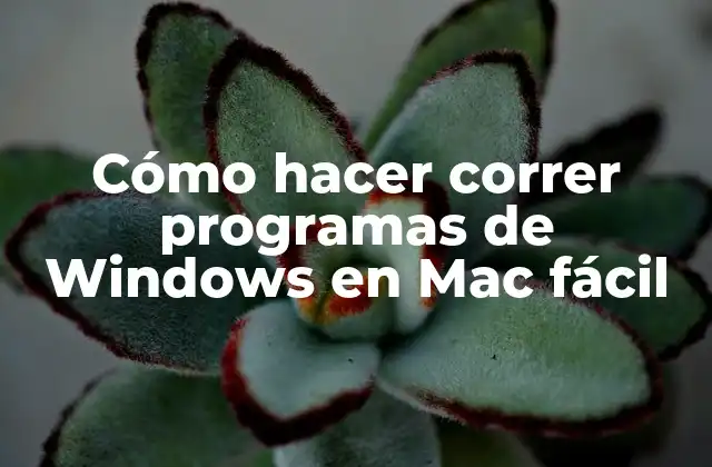 Cómo hacer correr programas de Windows en Mac fácil