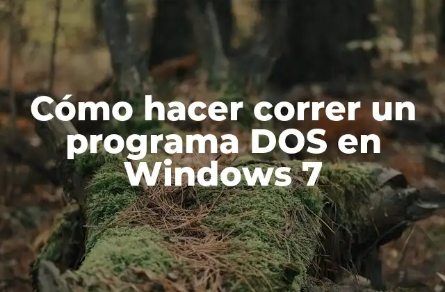 ¿Qué es un programa DOS y cómo funciona en Windows 7?