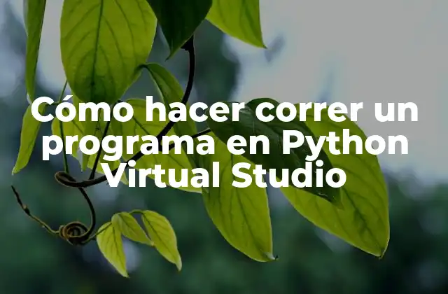 Cómo Hacer Correr un Programa en Python Virtual Studio