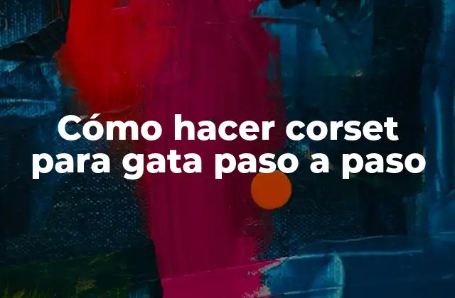 Cómo Hacer Corset para Gata Paso a Paso