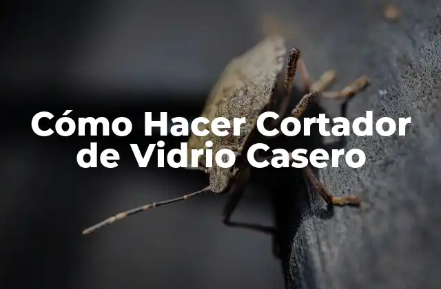 Cómo Hacer Cortador de Vidrio Casero
