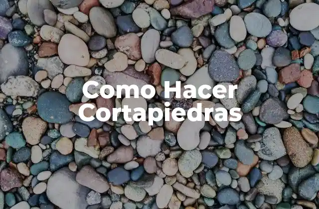 ¿Qué es un Cortapiedras y Para Qué Sirve?