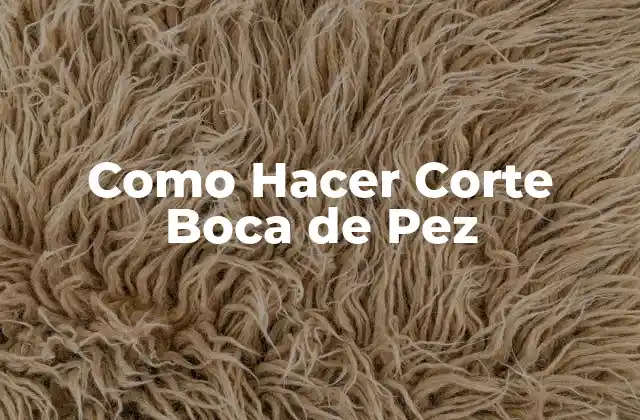 Como Hacer Corte Boca de Pez 2 ¿Qué es el Corte Boca de Pez?