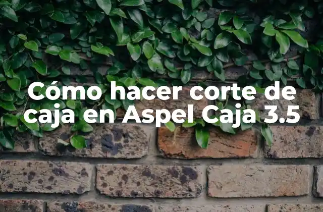 Cómo Hacer Corte de Caja en Aspel Caja 3.5