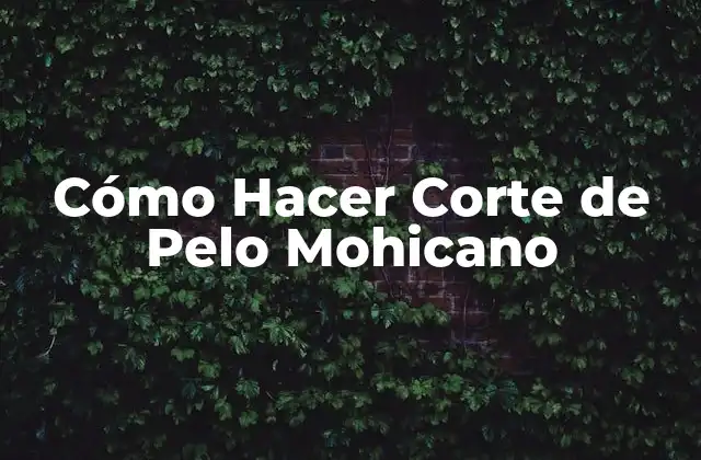 Cómo Hacer Corte de Pelo Mohicano 2 ¿Qué es un Corte de Pelo Mohicano y para Qué Sirve?