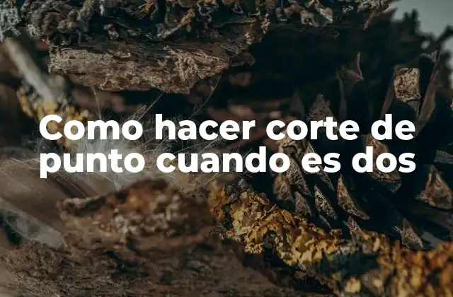 Como Hacer Corte de Punto Cuando es Dos