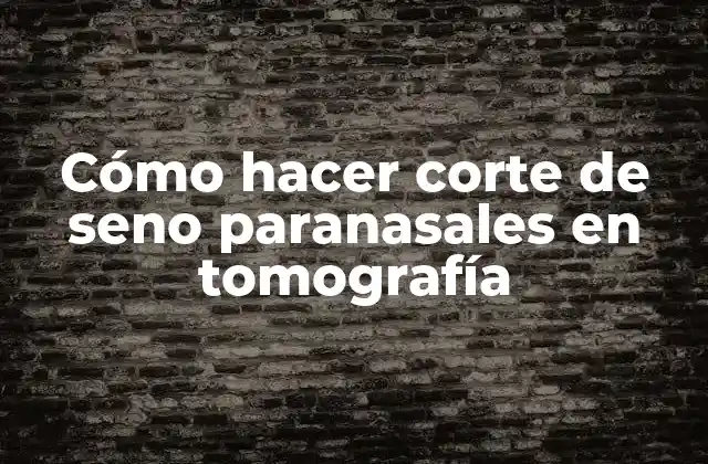 Cómo Hacer Corte de Seno Paranasales en Tomografía