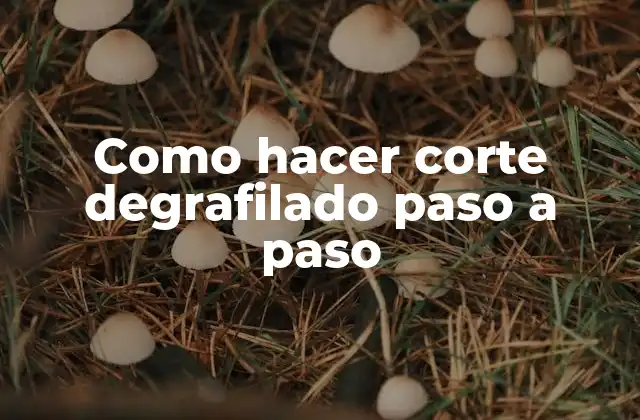 Como Hacer Corte Degrafilado Paso a Paso