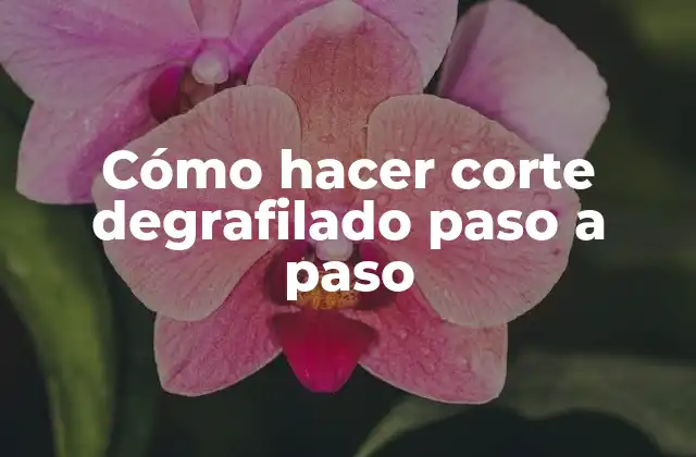 Cómo Hacer Corte Degrafilado Paso a Paso 2 Qué es corte degrafilado y para qué sirve