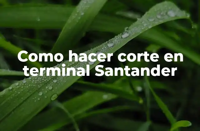 Como Hacer Corte en Terminal Santander