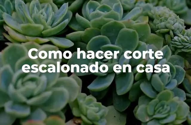 Como Hacer Corte Escalonado en Casa