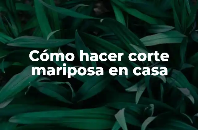 Cómo Hacer Corte Mariposa en Casa