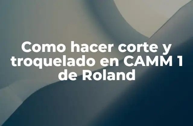 Como Hacer Corte y Troquelado en Camm 1 de Roland