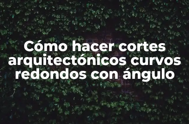 Cómo Hacer Cortes Arquitectónicos Curvos Redondos con Ángulo